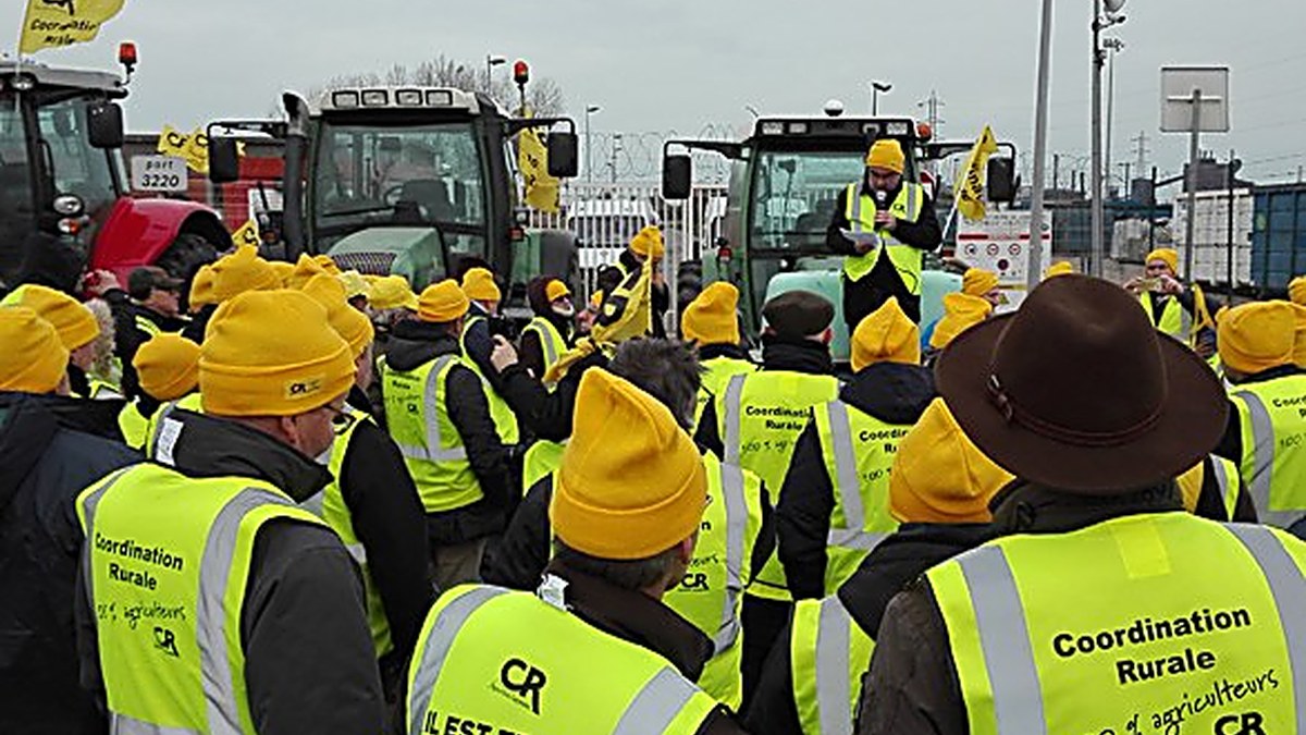 Rassemblement d'agriculteurs de la Coordination Rurale : bonnets et gilets
                jaunes, drapeaux du syndicat et tracteurs alignés devant un orateur.